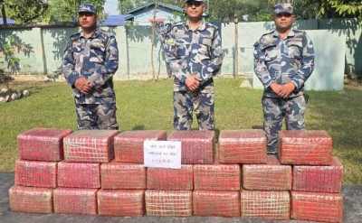  पर्सामा परालको कुन्युमा लुकाइराखेको  २१३ केजी गाँजा बरामद 